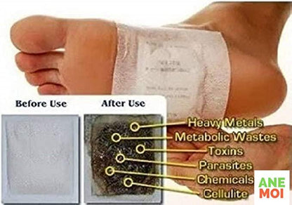 Herbal Detox Foot Patches (Set of 10)