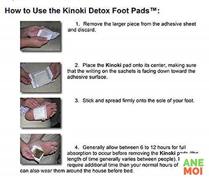 Herbal Detox Foot Patches (Set of 10)